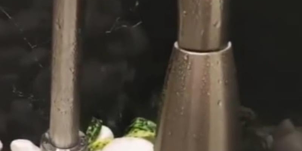 شیر شاوری ارزان