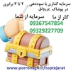 مهندس سید محمد حسینی
