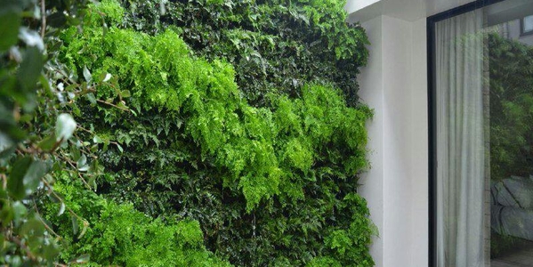 دیوار سبز گرین وال ( دیوار سبز ) گرین وال  ،  دیوار سبز - ار