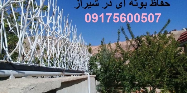 حفاظ بوته ای در شیراز